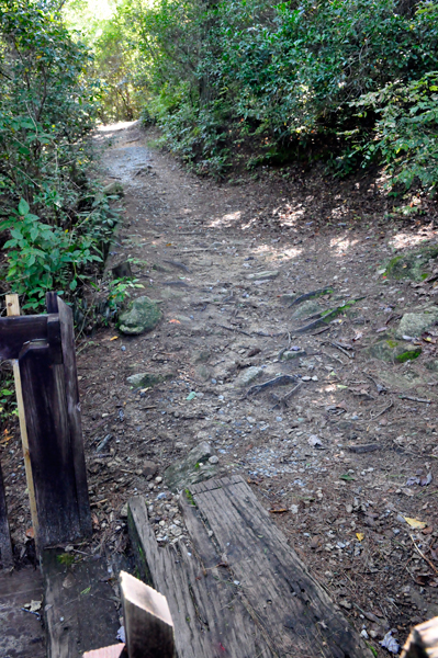 Upper Bearwalow Falls trail